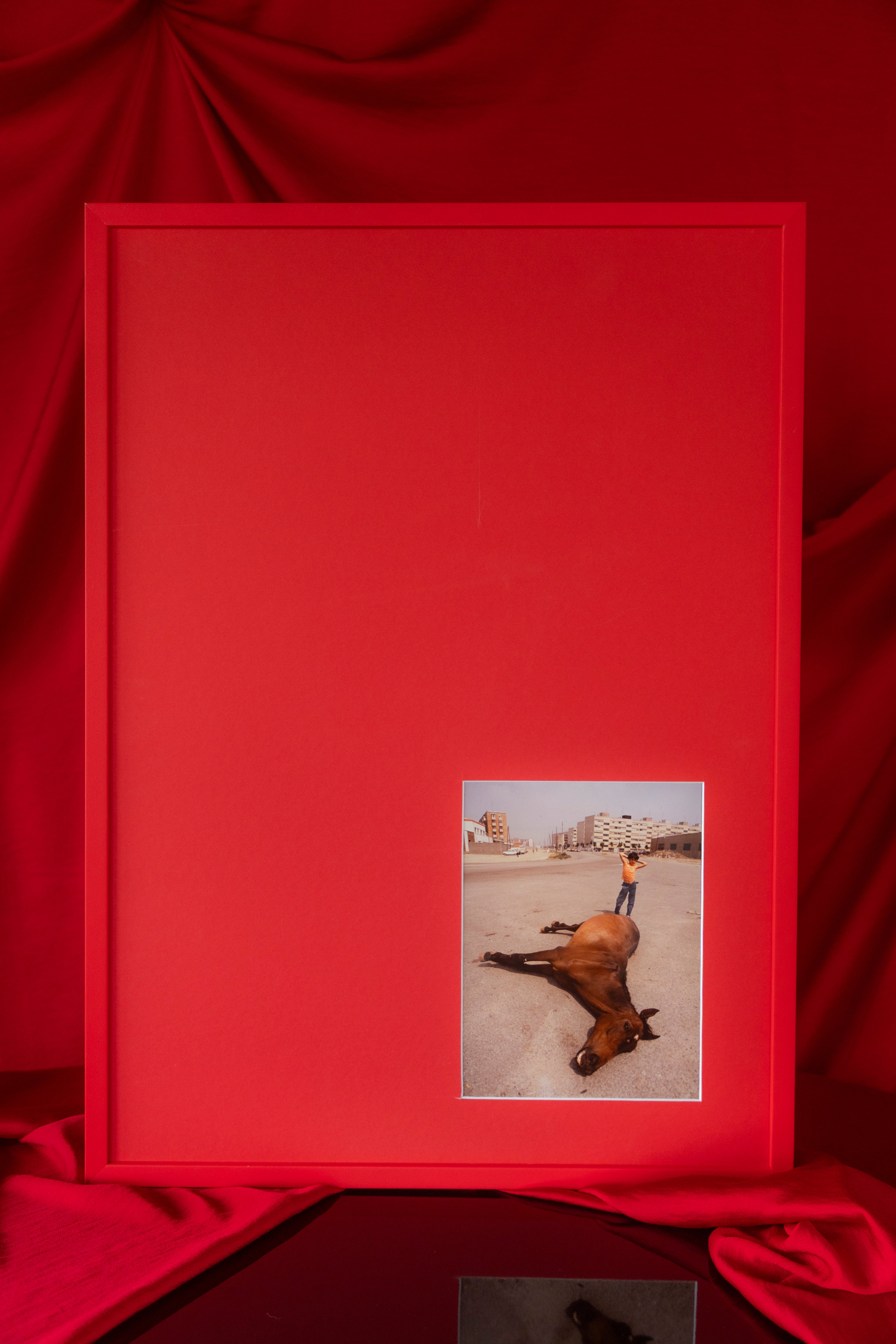 El caballo de La Mina 50x70