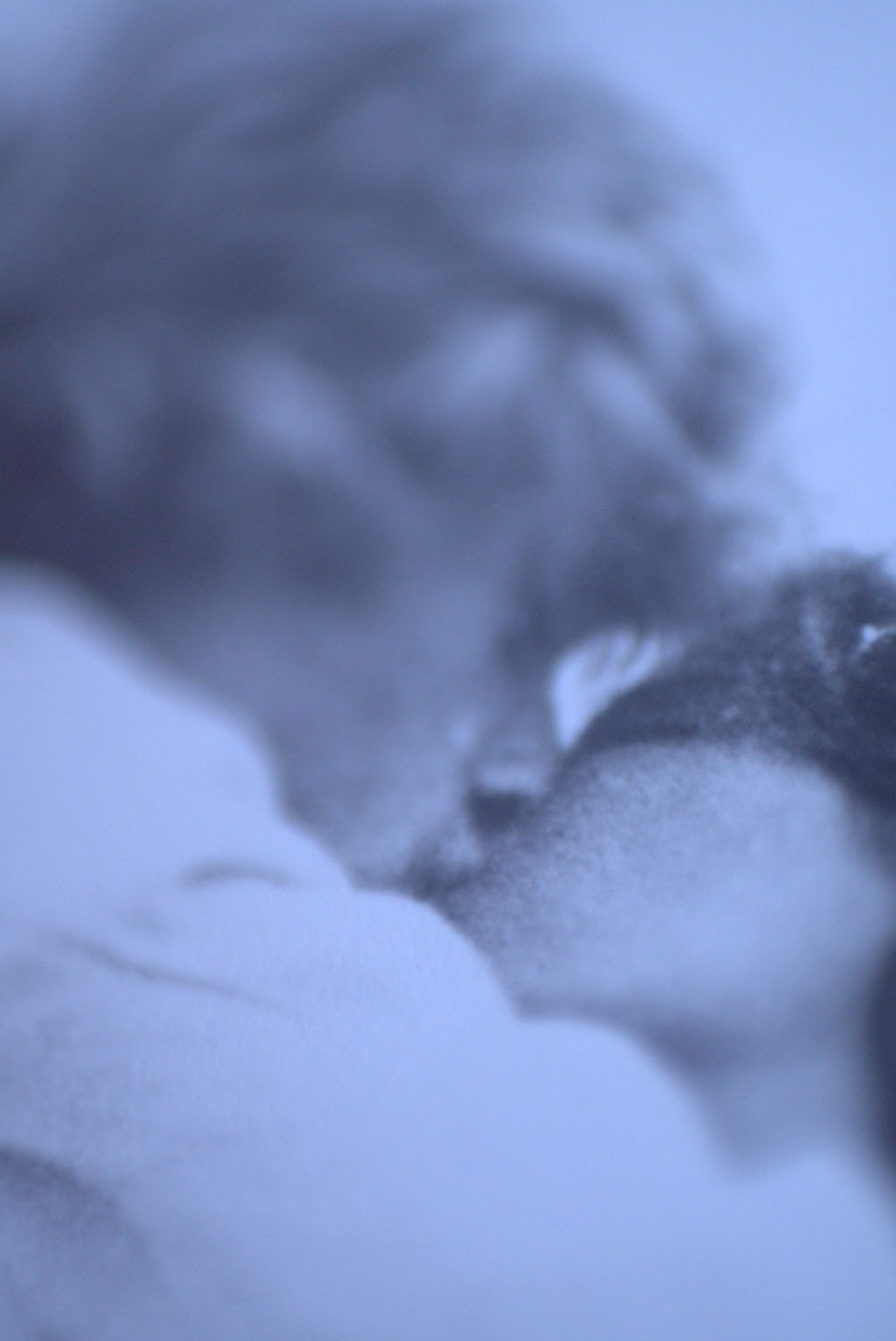 El beso 50x70