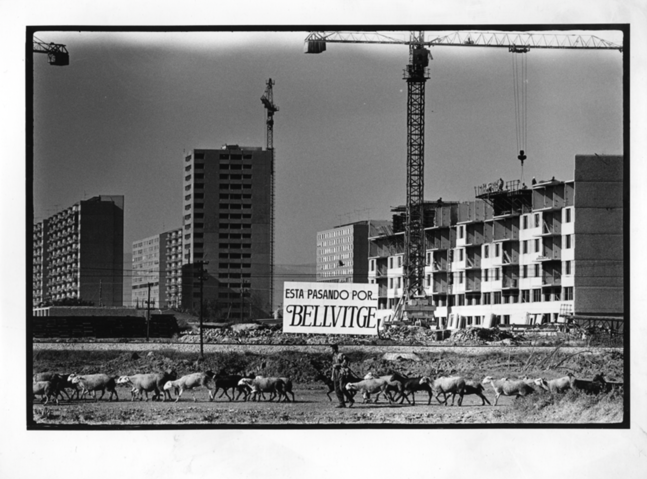 Hospital de Bellvitge 50x70