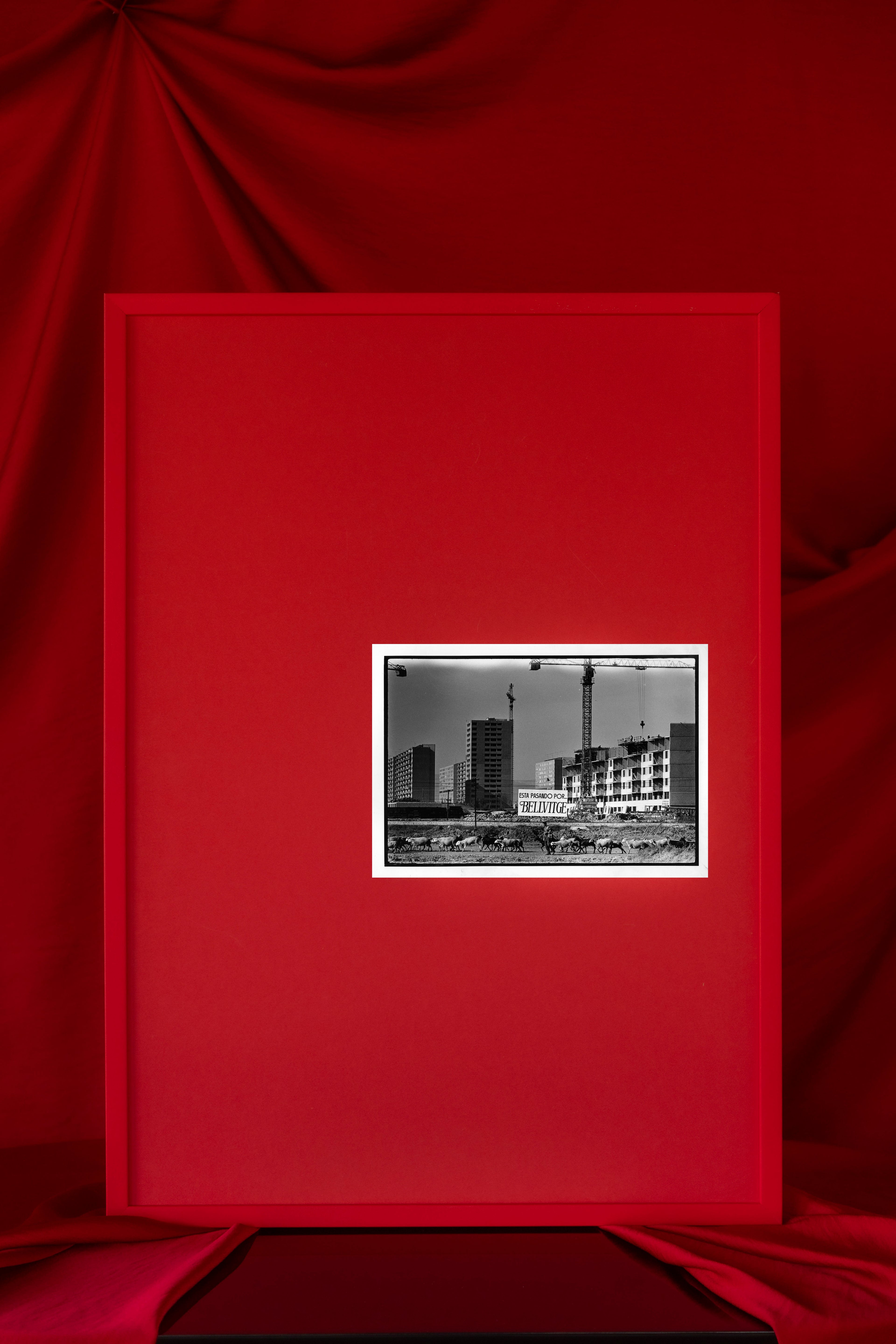 Hospital de Bellvitge 50x70