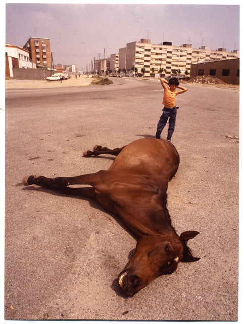 El caballo de La Mina 50x70